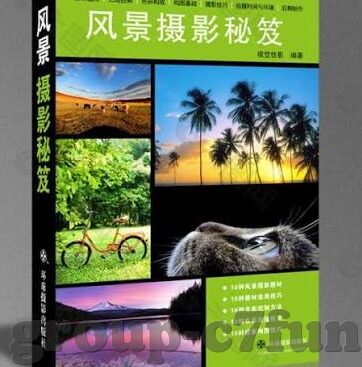 11足球比分赛换人-足球赛场风云变幻，11人制足球比分赛中的换人艺术与策略解析