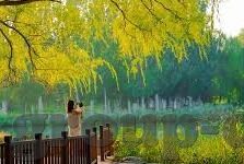 2018世界杯巴西讨论-巴西在2018世界杯上的风采与足球王国的荣耀