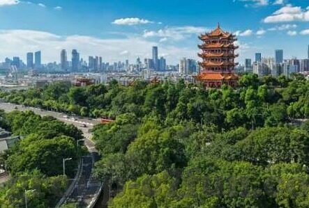 百家乐欧博-百家乐欧博，传统与现代的融合